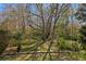 Lush backyard with mature trees and landscaping at 8205 Prairie Ridge Way, Tampa, FL 33647