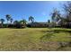 Home back exterior with a sprawling lawn and palm trees, creating a private oasis at 8503 Kentucky Derby Dr, Odessa, FL 33556