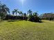 Vast green lawn and palm trees, providing a private and serene outdoor space at 8503 Kentucky Derby Dr, Odessa, FL 33556