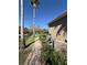 Neat backyard with a brick walkway next to the house at 8503 Kentucky Derby Dr, Odessa, FL 33556