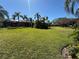 Expansive backyard featuring lush green grass and mature landscaping with palm trees at 8503 Kentucky Derby Dr, Odessa, FL 33556