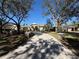 Long driveway leading up to a well-maintained home, framed by mature trees creating a welcoming ambiance at 8503 Kentucky Derby Dr, Odessa, FL 33556