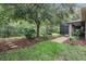 Manicured backyard with large shade tree and screened patio at 19308 Sunset Bay Dr, Land O Lakes, FL 34638