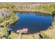 A scenic view of a pond with a small dock and gazebo, surrounded by lush greenery and trees at 19308 Sunset Bay Dr, Land O Lakes, FL 34638