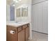Bathroom vanity with neutral colors and bright lighting at 20312 Heritage Point Dr, Tampa, FL 33647