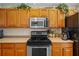 Close up of a spacious kitchen with stainless steel appliances and wood cabinetry at 18605 Le Dauphine Pl, Lutz, FL 33558