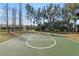 Green basketball court with white lines, set amidst mature trees and landscaping at 4446 Wildstar Cir, Wesley Chapel, FL 33544