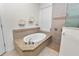 Bathroom featuring a tile tub with granite countertop and a separate walk-in shower at 4446 Wildstar Cir, Wesley Chapel, FL 33544