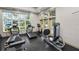 Bright exercise room featuring treadmills, elliptical, and weight machines with natural light at 4446 Wildstar Cir, Wesley Chapel, FL 33544