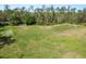 Aerial view of a well-maintained soccer field with three goals and trees in the background at 4446 Wildstar Cir, Wesley Chapel, FL 33544