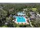 Aerial view of a community pool area with a lap pool, lounge chairs, umbrellas, and lush landscaping at 4446 Wildstar Cir, Wesley Chapel, FL 33544