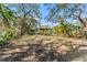 Expansive backyard featuring an outdoor kitchen, entertaining space, and mature trees for shade at 5010 W Dickens Ave, Tampa, FL 33629