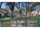 Enjoy the outdoors at the on-site dog park, surrounded by mature shade trees and green space inside the condo community at 6262 142Nd Ave # 506, Clearwater, FL 33760