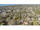 Wide angle aerial shot of the tree-lined neighborhood, showcasing its beautiful homes at 1157 Brook Rd, Clearwater, FL 33755