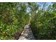 Picturesque boardwalk winding through lush green vegetation and trees at 14554 90Th Ave, Seminole, FL 33776