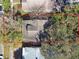 Overhead aerial view of the property, with trees, surrounding structures, and the property outlined in red at 306 S Albany Ave, Tampa, FL 33606