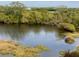 Water view with lush green trees at 6315 Shoreline Dr # 3204, Seminole, FL 33708