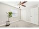 Bedroom features neutral carpet, natural light, fig plant, and closet at 8376 Sycamore Dr, New Port Richey, FL 34654