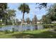 Scenic pond with palm tree and fountain provides tranquil views, enhancing the community's natural beauty at 10346 Carrollwood Ln # 171, Tampa, FL 33618