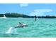 Captivating shot of a dolphin leaping from the ocean water with an island backdrop at 1282 Palm St, Clearwater, FL 33755