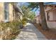 Long driveway leading to the carport, surrounded by mature landscaping at 5807 N Branch Ave, Tampa, FL 33604