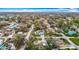 An aerial view showcasing the neighborhood, tree coverage, and street layout at 10608 Sassafras St, Tampa, FL 33617