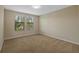 Neutral bedroom with carpet, base molding, two windows providing natural light at 19429 Paddock View Dr, Tampa, FL 33647