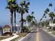 A welcoming entrance to Dunedin with palm tree-lined road and well-maintained landscaping at 2385 Arboretum Dr, Palm Harbor, FL 34683