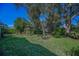 Lush green backyard featuring mature trees and manicured shrubs at 11427 Turtle Dove Pl, New Port Richey, FL 34654