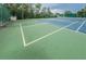 Outdoor tennis court with blue and green surface with lush green surroundings and tall mature trees at 11427 Turtle Dove Pl, New Port Richey, FL 34654
