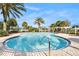 Large community pool perfect for swimming laps or relaxing poolside at 12285 Country White Cir, Tampa, FL 33635