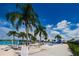 Stunning beach view featuring lush palm trees, inviting sun loungers, and clear blue skies at 7580 Pool Compass Loop, Wesley Chapel, FL 33545