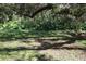 A lush green yard with mature trees providing ample shade at 11723 Raintree Village Blvd # B, Temple Terrace, FL 33617