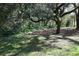 Landscaped yard featuring trees and various plants at 11723 Raintree Village Blvd # B, Temple Terrace, FL 33617