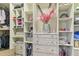 Organized walk-in closet featuring shelving, drawers, and hanging storage at 13218 Satin Lily Dr, Riverview, FL 33579
