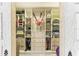 Spacious closet featuring an arrangement of shelving, drawers, and accessories at 13218 Satin Lily Dr, Riverview, FL 33579