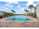 Gorgeous outdoor pool surrounded by palm trees, lounge chairs and a tranquil lake view at 14766 Feather Cove Ln, Clearwater, FL 33762