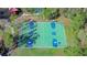 Aerial view of a basketball court with blue and green paint, surrounded by trees and greenery at 31841 Larkenheath Dr, Wesley Chapel, FL 33543