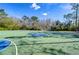 Outdoor basketball court with multiple hoops in a scenic, wooded area for sports and recreation at 31841 Larkenheath Dr, Wesley Chapel, FL 33543