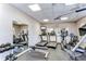 Community gym featuring treadmills, weight machines, free weights, and a wall-mounted television at 31841 Larkenheath Dr, Wesley Chapel, FL 33543