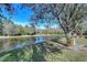 Scenic view of a tranquil pond surrounded by lush greenery and mature trees at 31841 Larkenheath Dr, Wesley Chapel, FL 33543