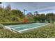 Outdoor shuffleboard court surrounded by hedges and benches in a serene setting at 31841 Larkenheath Dr, Wesley Chapel, FL 33543