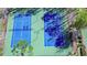 Overhead shot of dual blue tennis courts, complemented by verdant green grounds and trees at 31841 Larkenheath Dr, Wesley Chapel, FL 33543