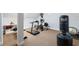 Home gym featuring carpet floors and exercise equipment including treadmill, bike, and punching bag at 4110 Highland Park Cir, Lutz, FL 33558