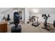 Well equipped home gym with mirrored wall, carpet floors, and exercise equipment at 4110 Highland Park Cir, Lutz, FL 33558
