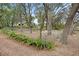 Fenced backyard featuring lush greenery and mature trees creates a private outdoor space at 6524 Coronet Dr, New Port Richey, FL 34655