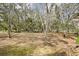 Spacious, tree-filled yard with plenty of shade at 6524 Coronet Dr, New Port Richey, FL 34655