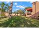Spacious backyard with well-maintained lawn and covered patio area, perfect for outdoor living at 6935 Date Palm S Ave, St Petersburg, FL 33707