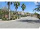 Gated entrance to a neighborhood adorned with lush landscaping and swaying palm trees at 12326 Terracina Chase Ct, Tampa, FL 33625