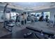 Fitness center featuring modern exercise equipment at 13106 Zolo Springs Cir, Riverview, FL 33579